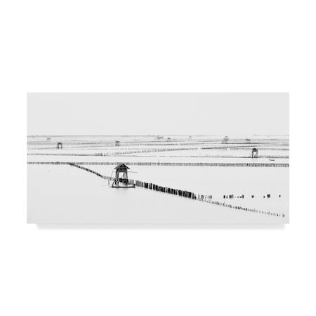 Trademark Fine Art Vichaya 'Shellfish Farm' Canvas Art, 12x24 1X05888-C1224GG